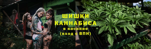 мет Няндома